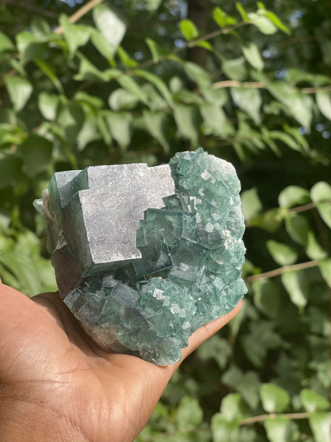 Green Flourite Madagascar ~ Extra Large