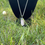 Thumbnail: Rose Quartz ~ 24” ~ Silver Necklace 