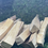 Thumbnail: Peruvian Palo Santo ~ Large Size
