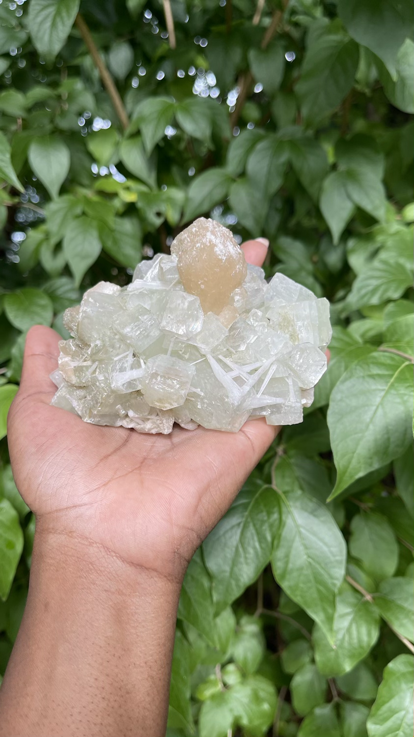 Thumbnail: Apophyllite W/Stilbite & Natrolite ~ India
