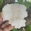 Thumbnail: Mexican White Aragonite 