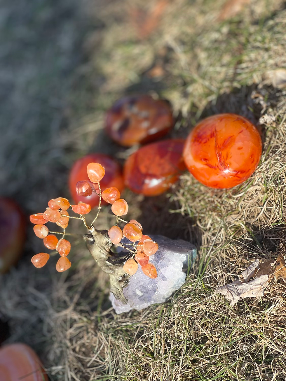 Thumbnail: Carnelian Tree on Amethyst Cluster | Small 