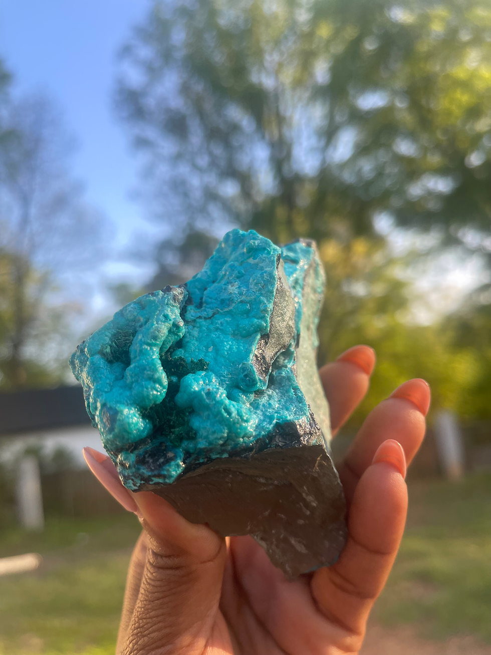 Thumbnail: Chrysocolla with Malachite Growth | South Africa 