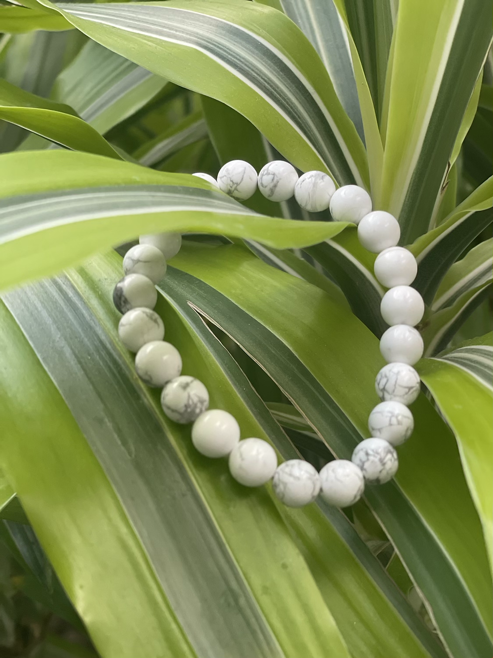 Thumbnail: Howlite 