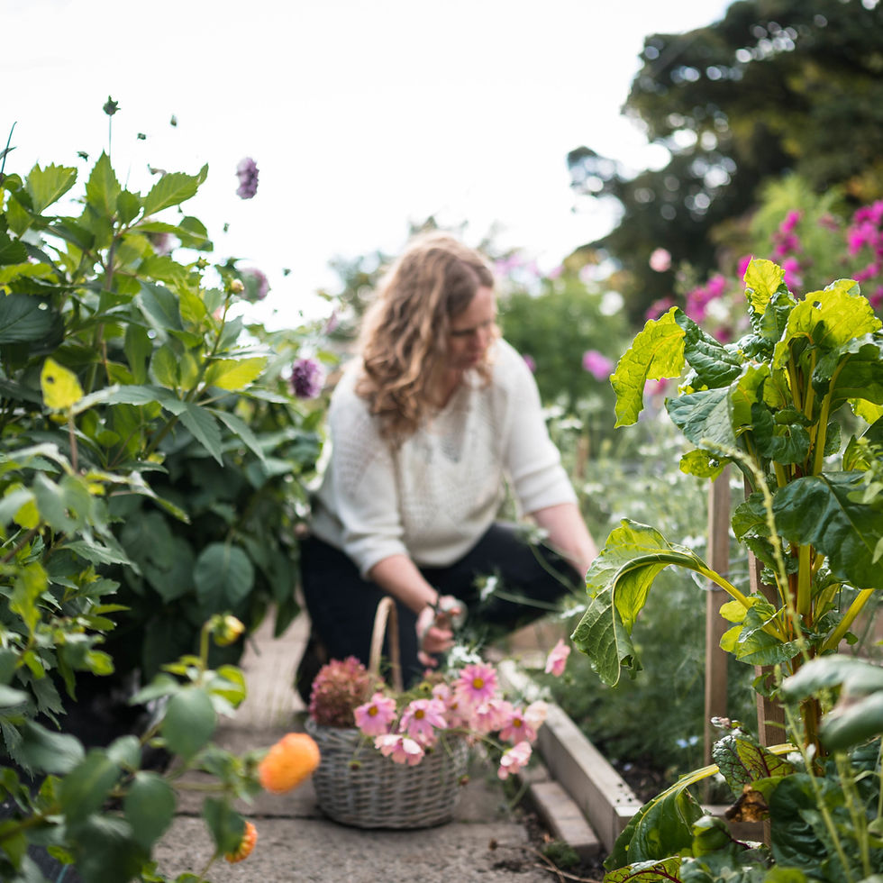 British Flower Farmer, Sarah Hinchliffe