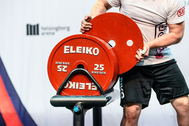 Eleiko 2.jpeg