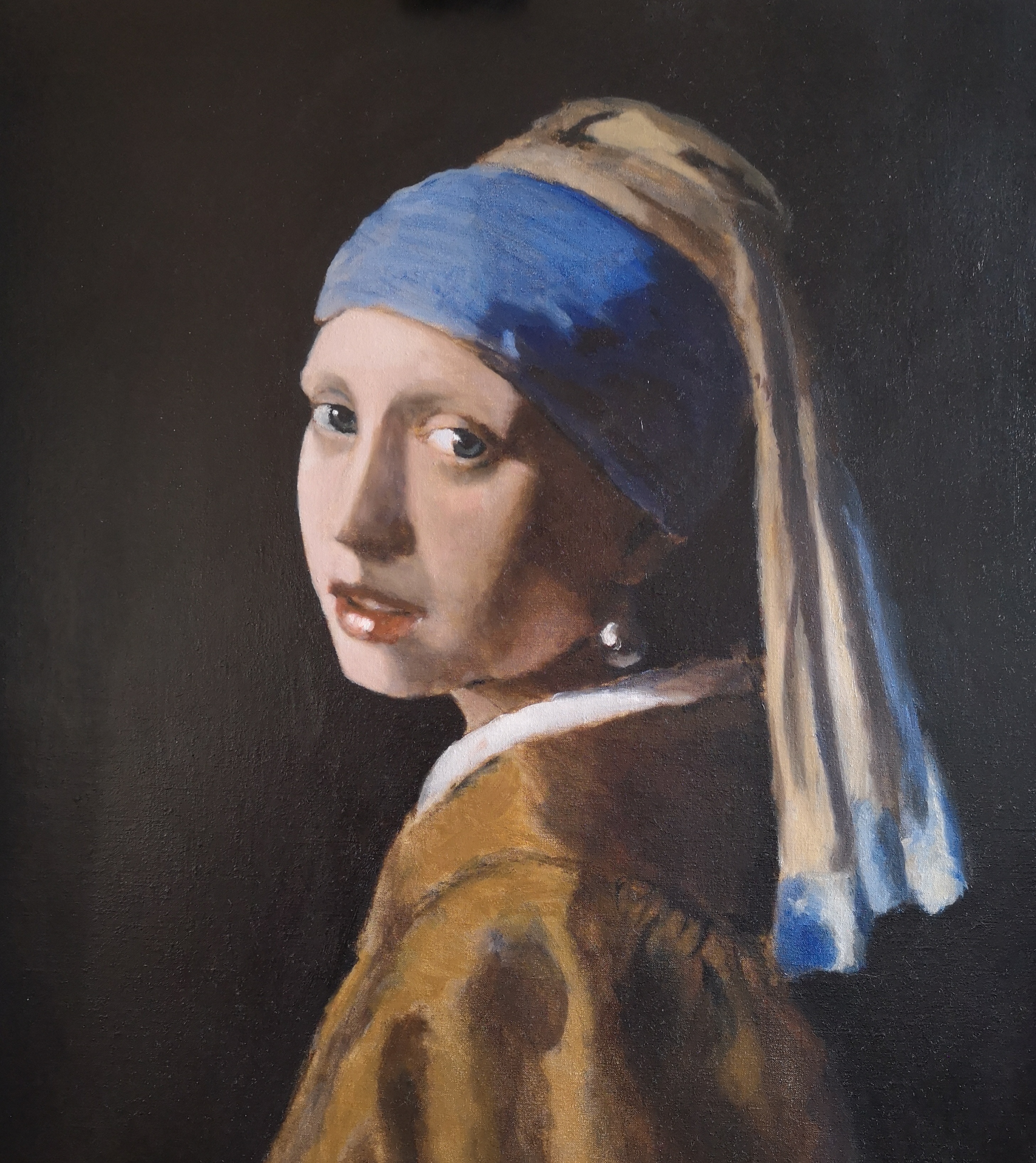 Vermeer Study