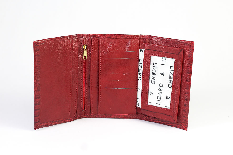 Miniatura: CARTEIRA LIA