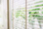 blinds-window (4).jpg