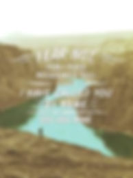 Unknown.jpeg