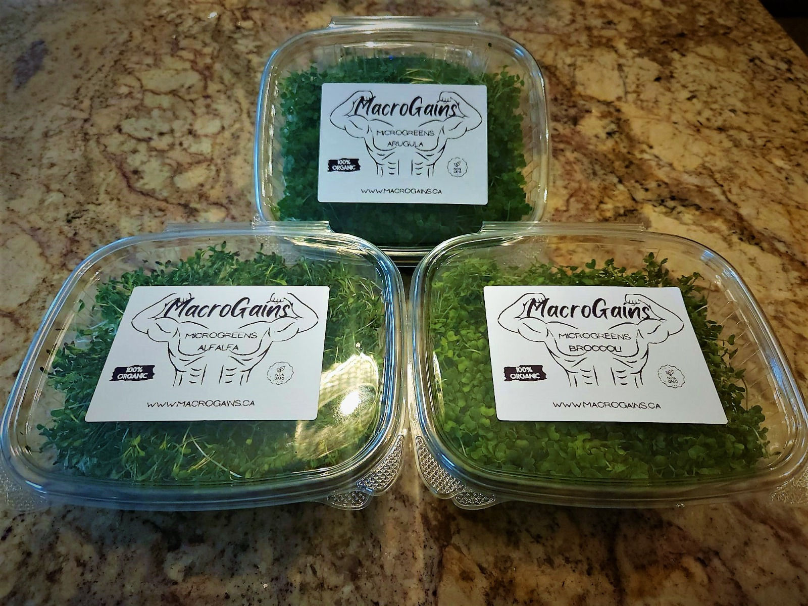 Custom Pack - 3 Greens