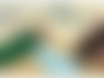 Consulenza e Sostegno Psicologico Online