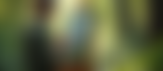 The Interconnection Between Art and Nature: A Creative Exploration