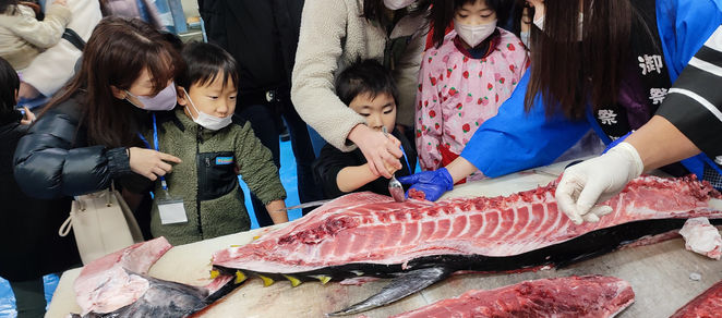 年末にマグロの町『塩釜』でマグロさばき体験!!