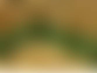 🚨 Azuero | IMA desmiente rumores sobre productores de cebolla