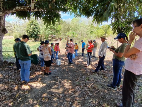 MiAMBIENTE capacita a productores en manejo y conservación de suelos en Los Pozos