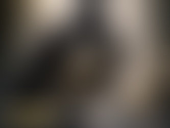 🦅✨ Día del Águila Arpía