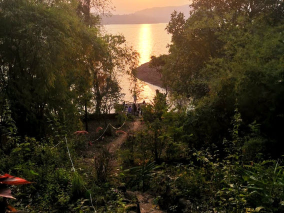 view