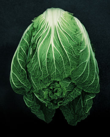 1_白菜.jpg