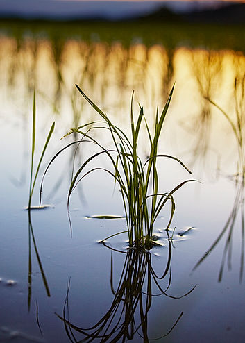 110408_ccjc 3919.jpg