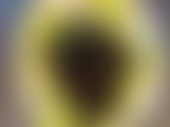 Japanische Algensalad