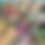 Thumbnail: Pokemon Triple Beat Booster Box SV01a