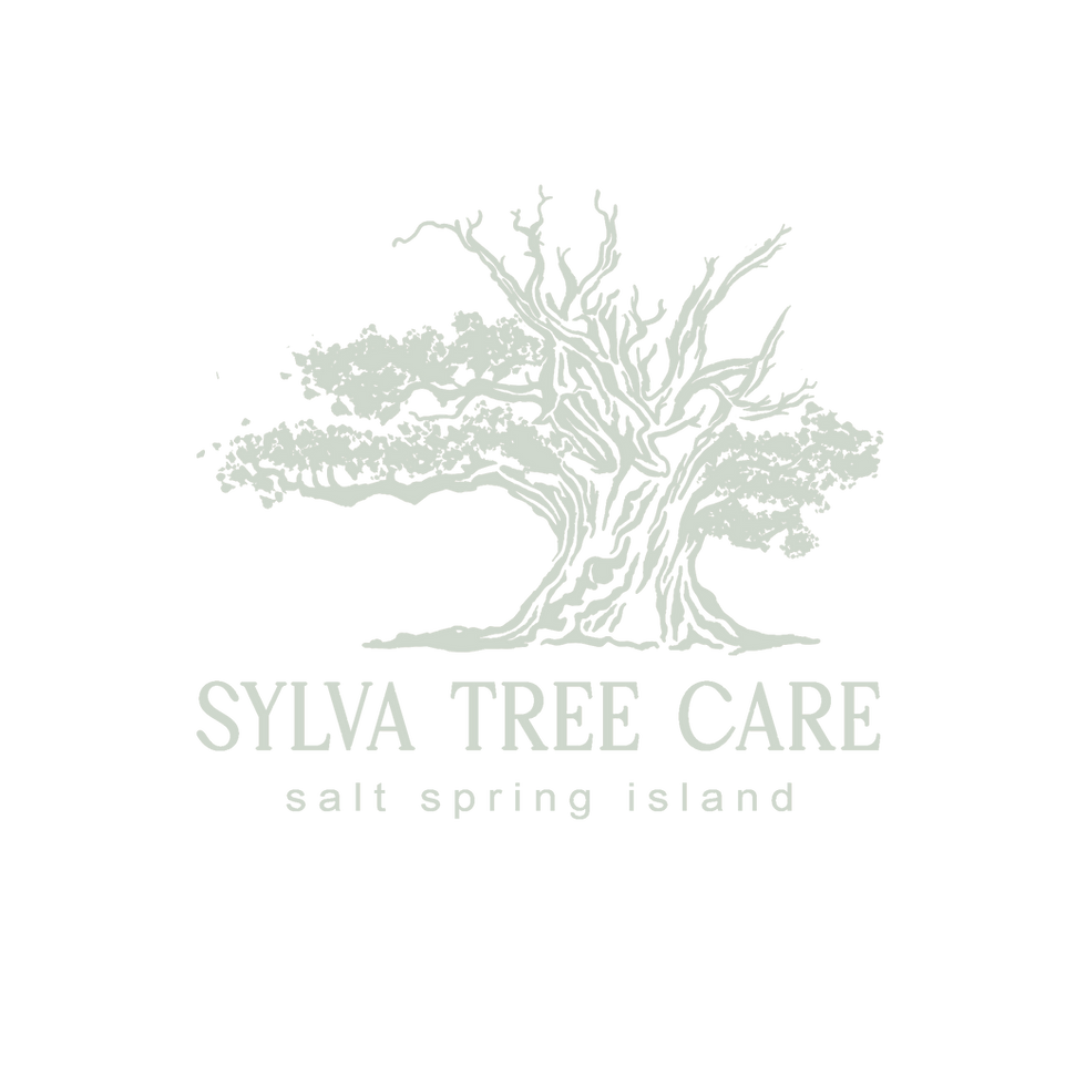 SylvaTreeCareCircleSSIGreen.png