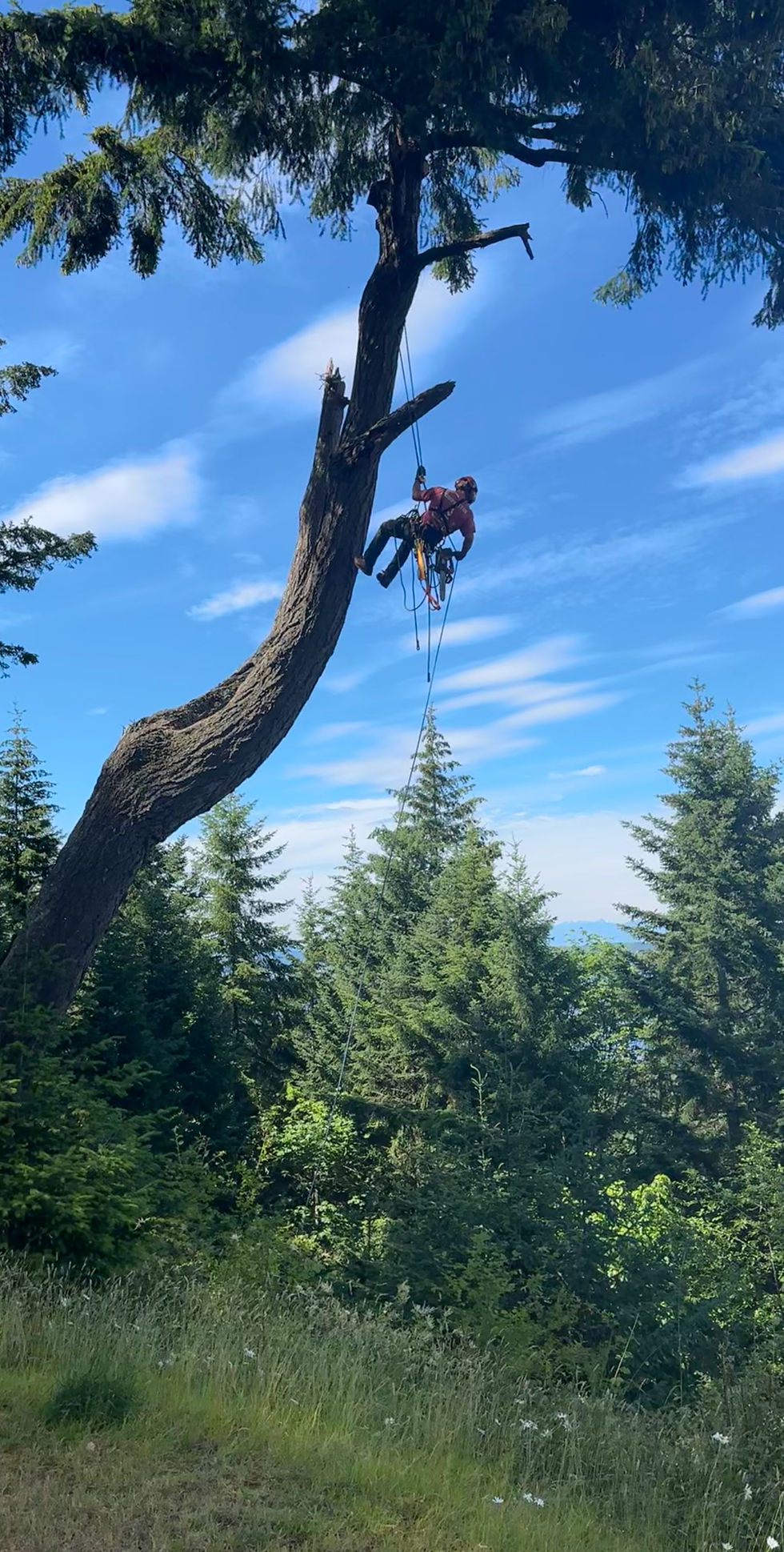IMG_7290 copy.jpg
