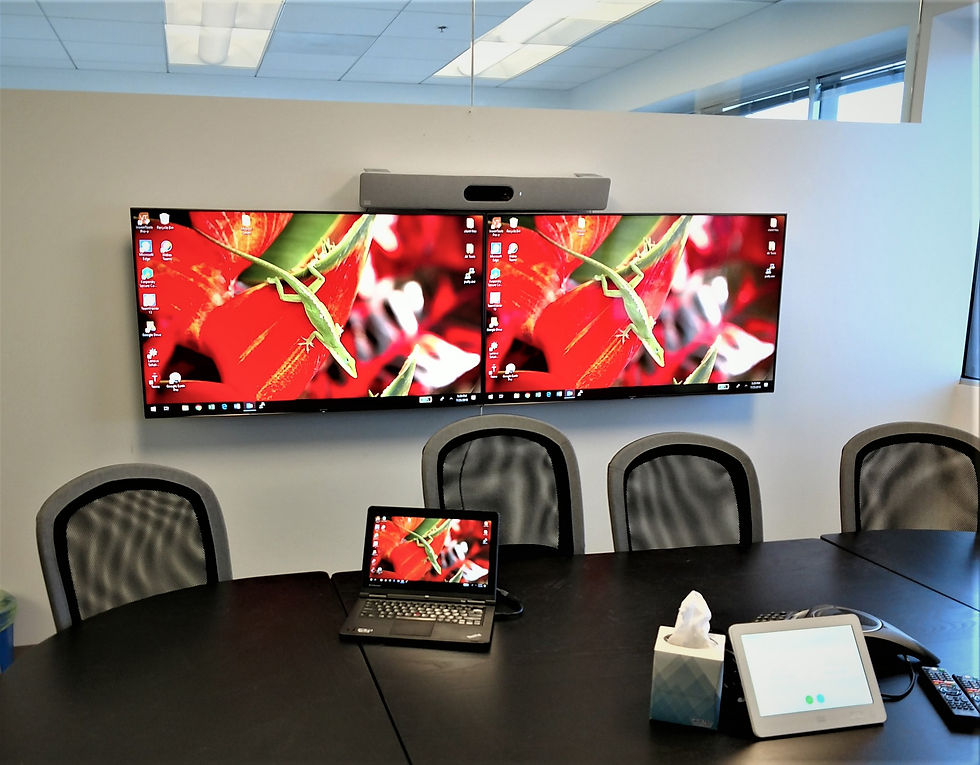 Webex System