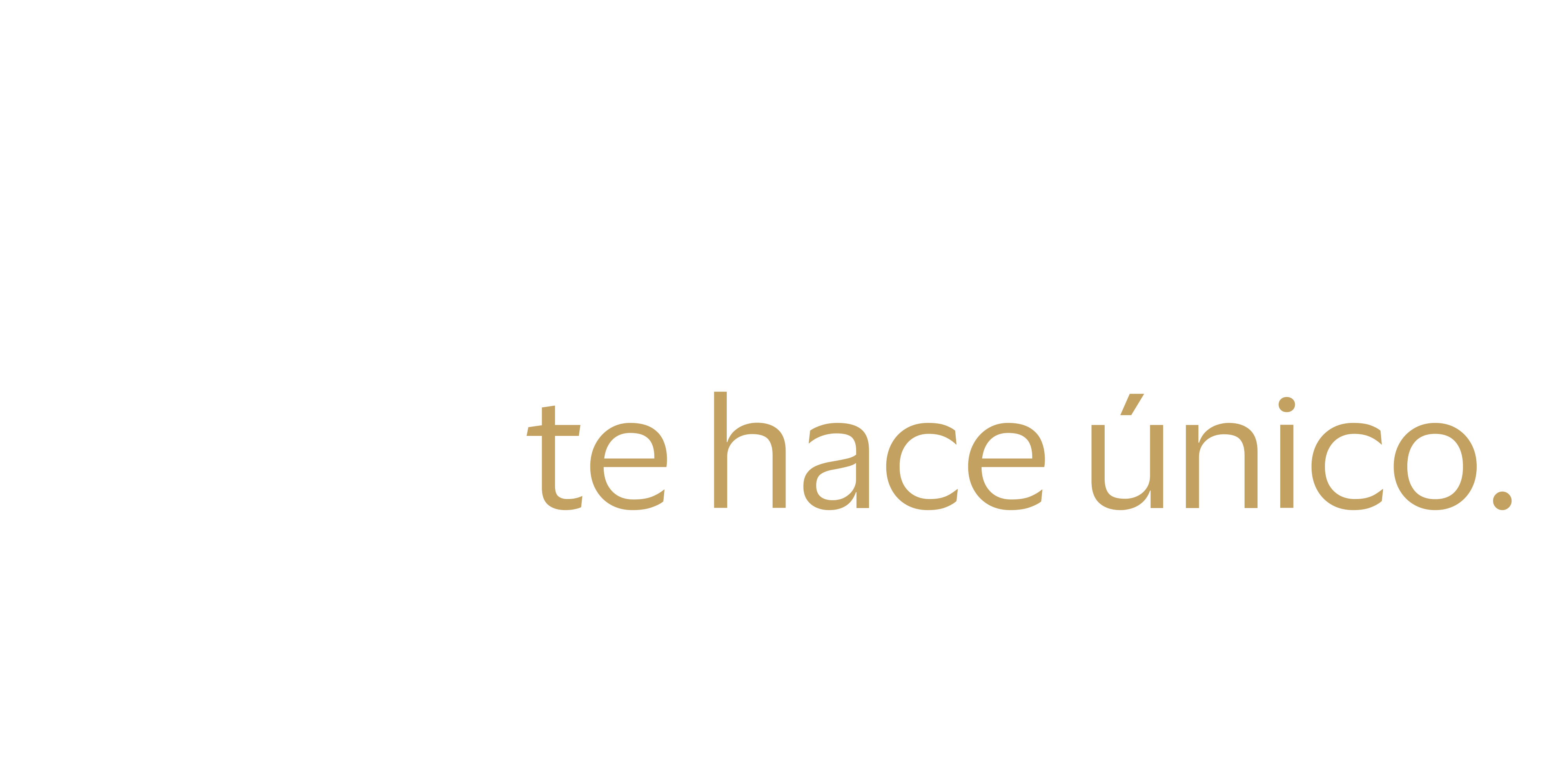 latinum restaurant latinum restaurant