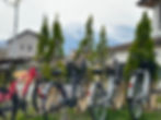 Free bicycles