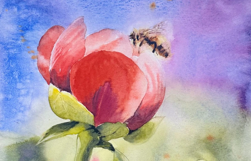 蜜蜂與芍藥水彩畫完成圖片
