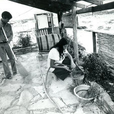  Our First Terlingua Home Gardening.jpg