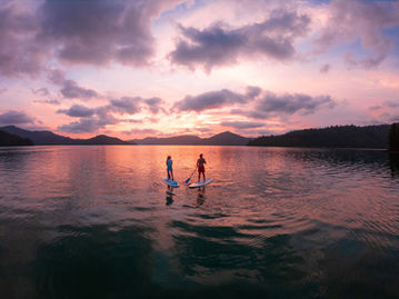 Stand up paddle boarding in the Marlborough Sounds at sunset