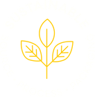 Alcoholic Lemonade Sustainable Package 