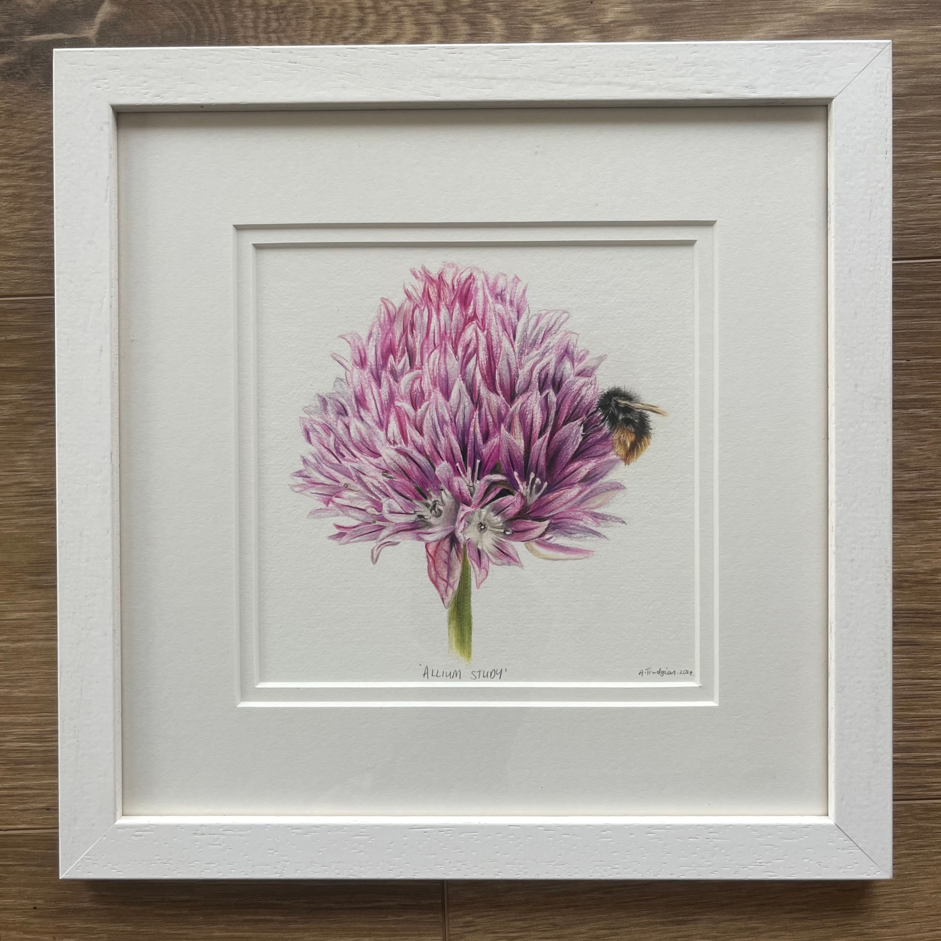 ‘Allium Study’ Original