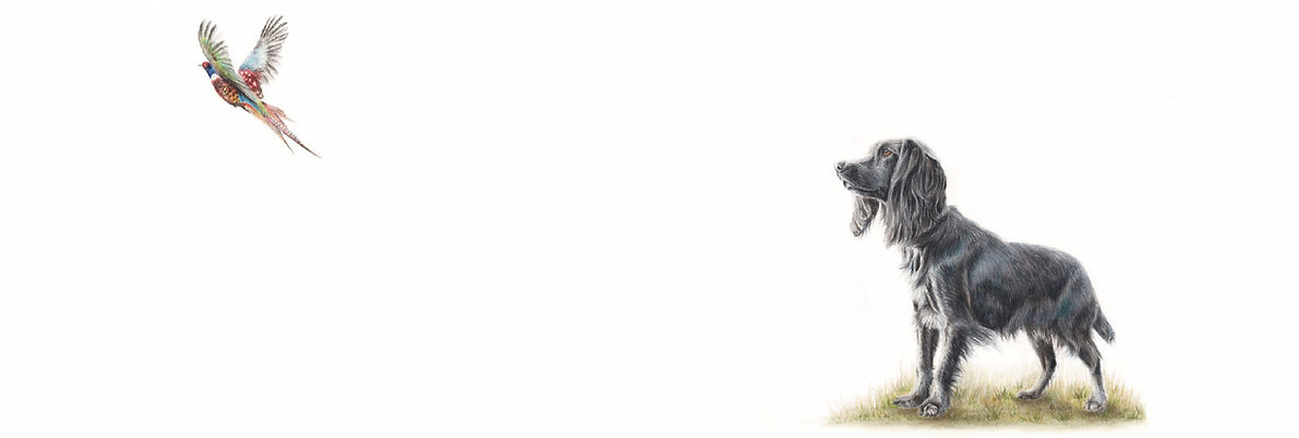 Meg langmaid - header_edited.jpg