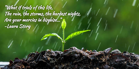 The Rain, The Storms, The Hardest Nights...