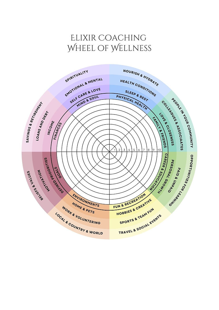 A wheel with 8 segments each a different colour and each representing a different aspect of wellness. Each segment has a choice of 4 ratings so you can rate that area of your wellness