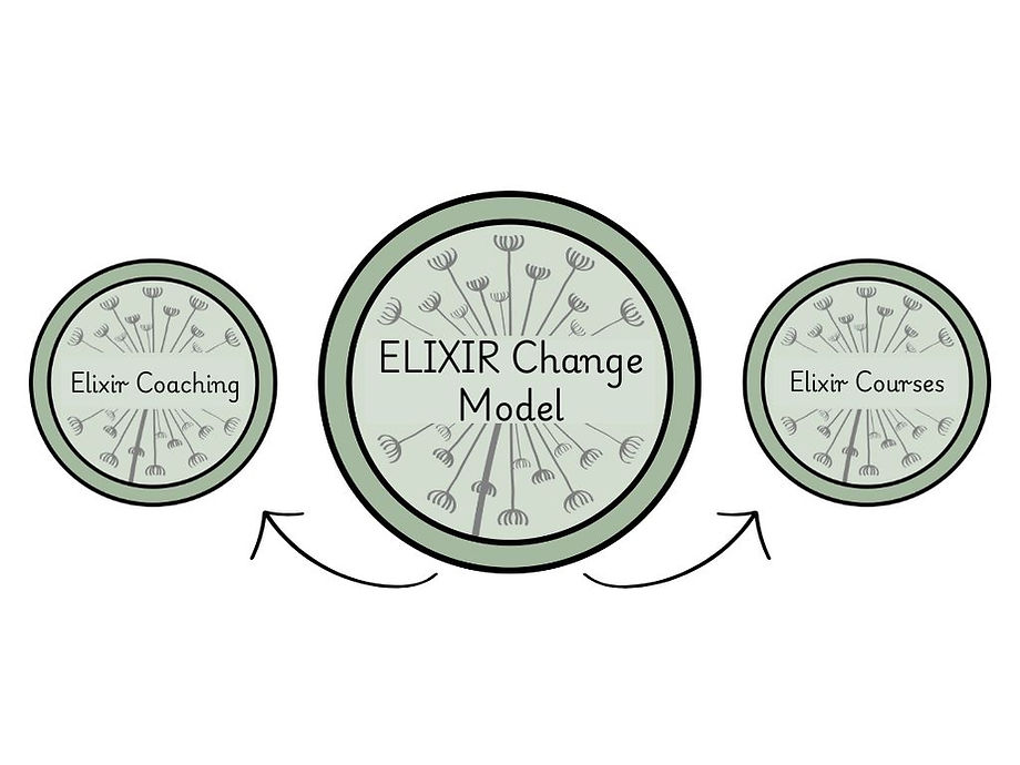 ELIXIR Change Model driving change via online coaching and online courses