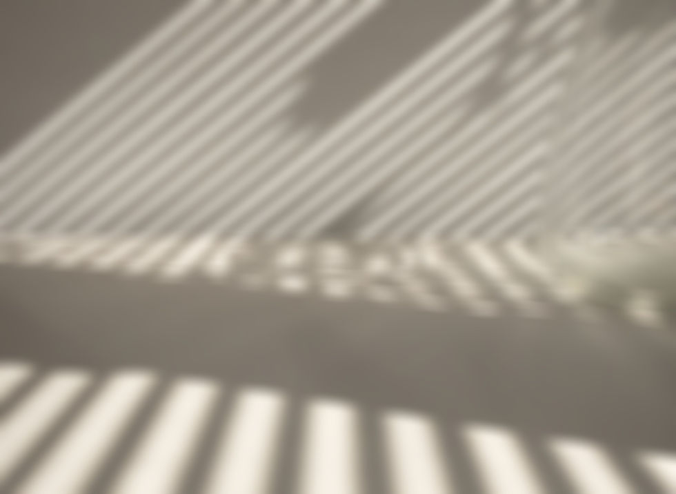 Light and Shadow _edited.jpg