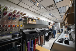 Girl Checking Her Phone