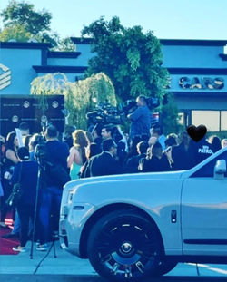 Celebrity Security for Weddings and Red Carpet Events