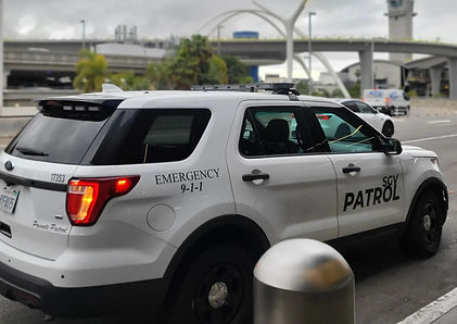 Security Company in LA