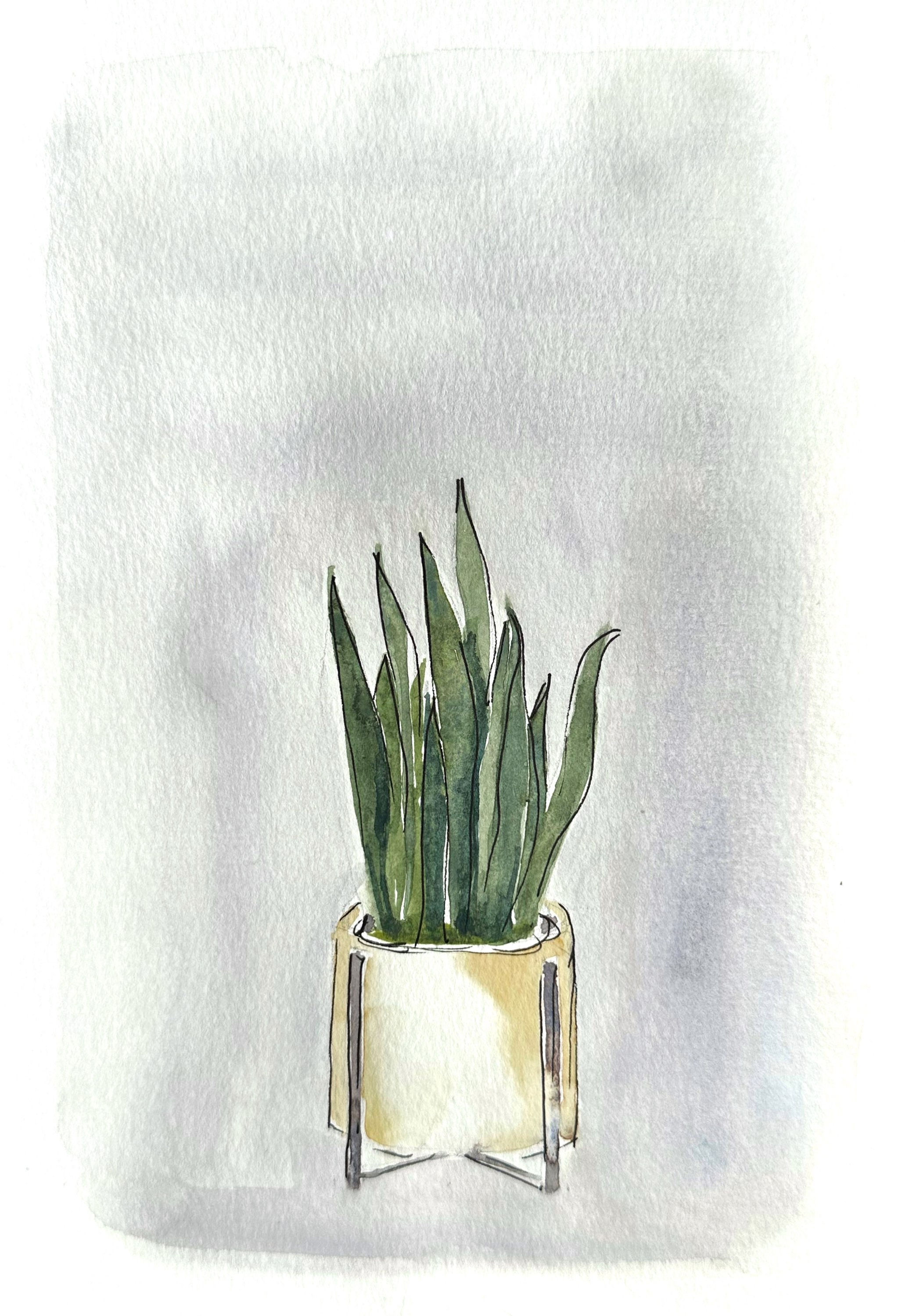 Watercolor Plant Series - Snake Plant 