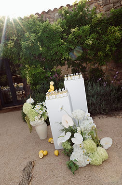 Eva-James-by-Miks-Sels-Weddings-696 copy.jpg