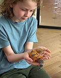 image4.jpeg