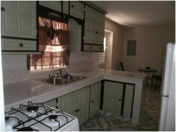 APT 2 Kitchen 2
