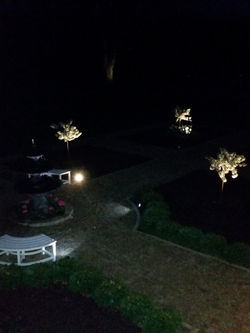 Gardens at nightime2