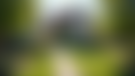 Strategic Blended Family Estate Planning: Protecting Your Legacy with Care